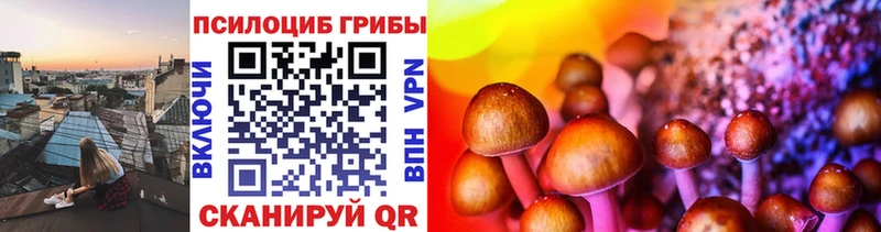 Галлюциногенные грибы прущие грибы  Россошь 