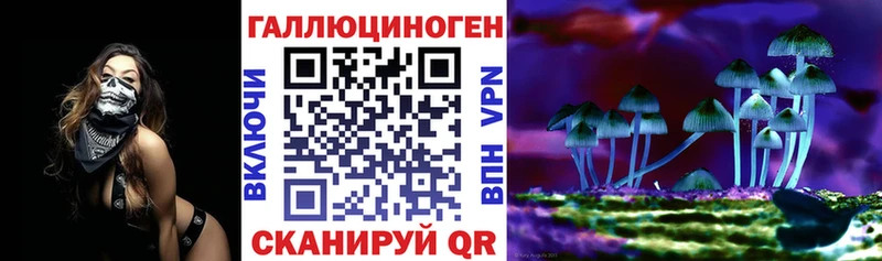Псилоцибиновые грибы Psilocybine cubensis Россошь